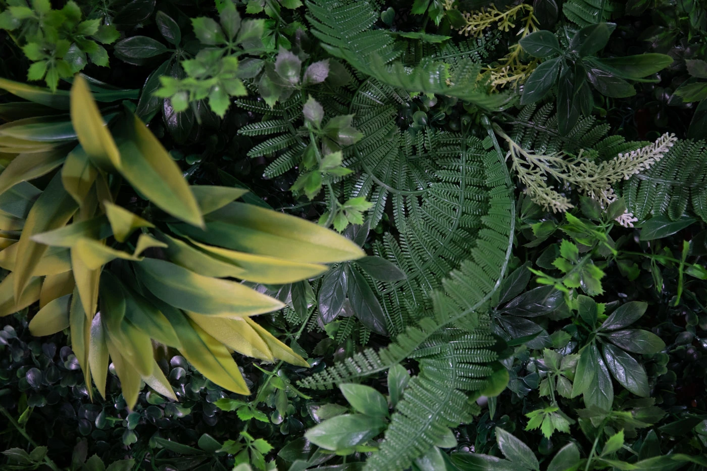 Google Ads Results — Exposure Media Studio